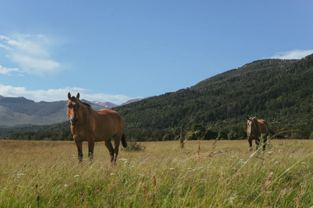 Cumplimiento ambiental: Iraeta plantea la realidad para exportadores de&nbsp;carne