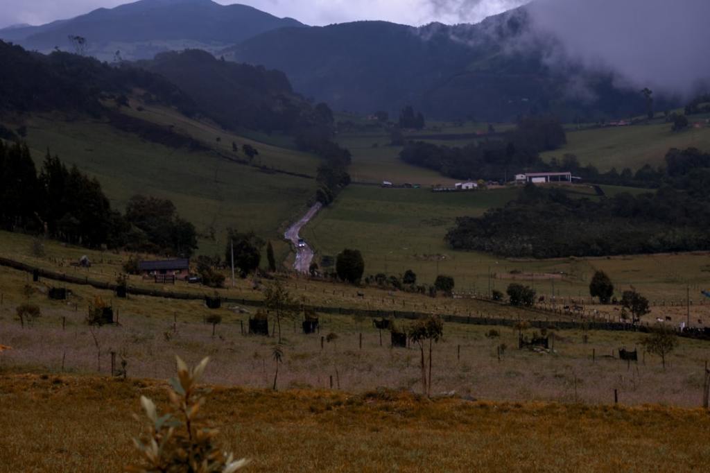 Aumentar peso del ganado: la nueva apuesta de ganadería&nbsp;argentina