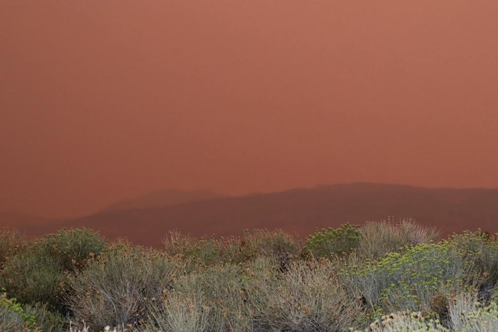 Evacuación masiva en Nevada por incendio forestal&nbsp;descontrolado